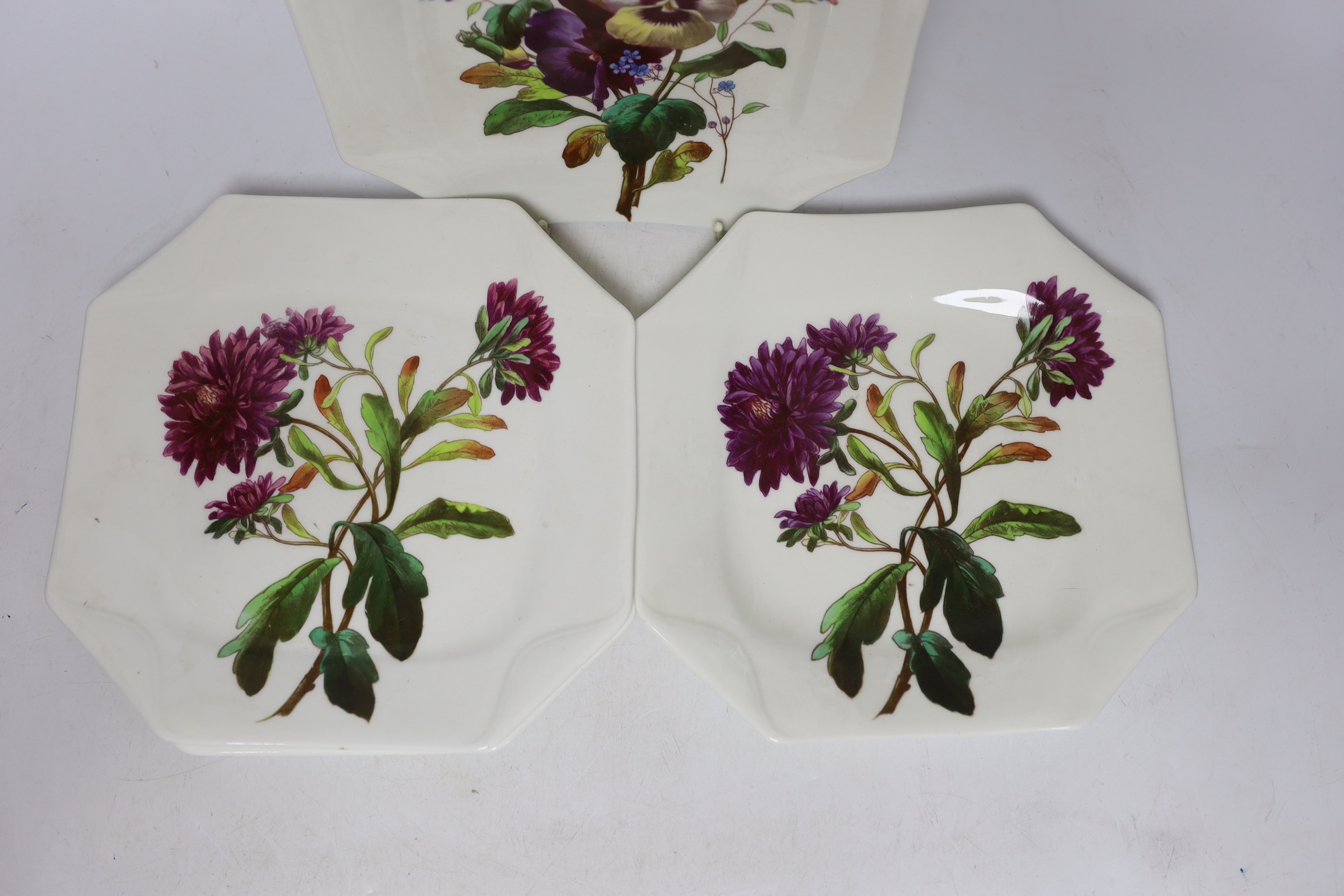 A set of six S. Bridgewood & Son botanical handpainted plates